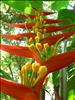 Jardin Botanico (6)